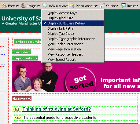 screenshot (37KB) : Figure 12: Web Developer Toolbar - Display ID & Class Details