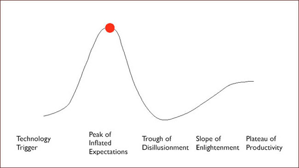 screenshot (23KB) : Gartner Hype Cycle 2000