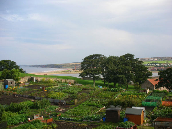 photo (66KB) : Figure 1 : Figure 1: Allotments & estuary